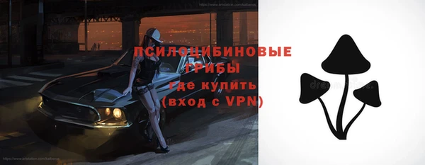 шишки Богородск