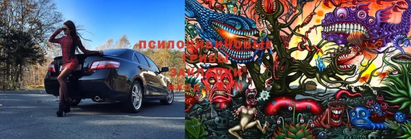 шишки Богородск