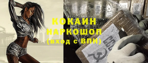 шишки Богородск