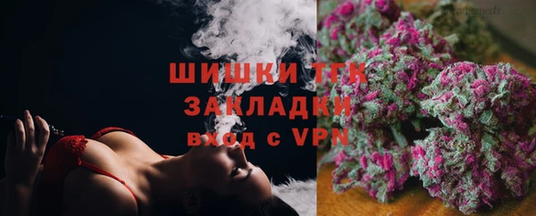 шишки Богородск