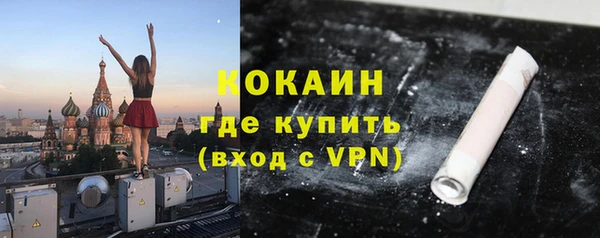 шишки Богородск
